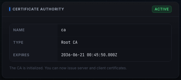 The Certificate Authority panel after initialization, showing the Active badge with Name, Type Root CA, and the 10-year Expires date