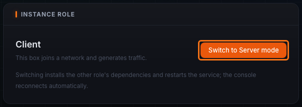 Settings page with the Instance Role panel